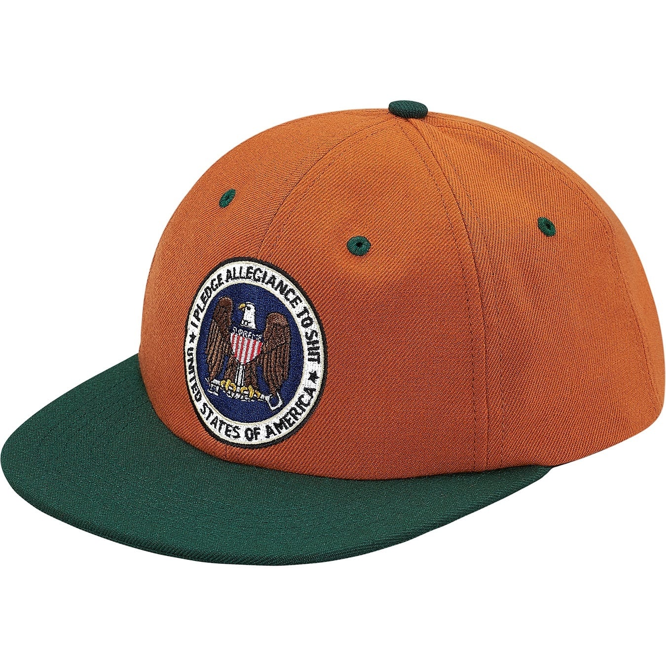 Pledge Allegiance 6-Panel view 2